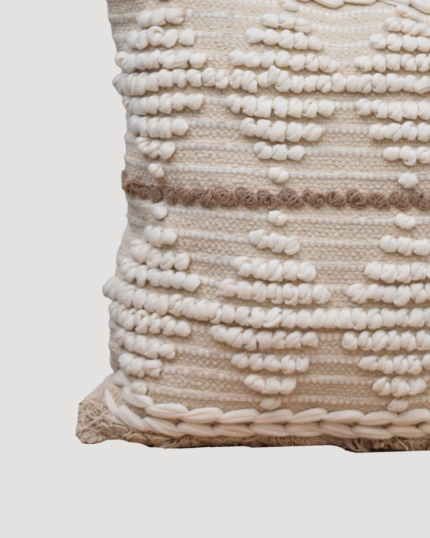 Living Room Designer Cushion Covers 15