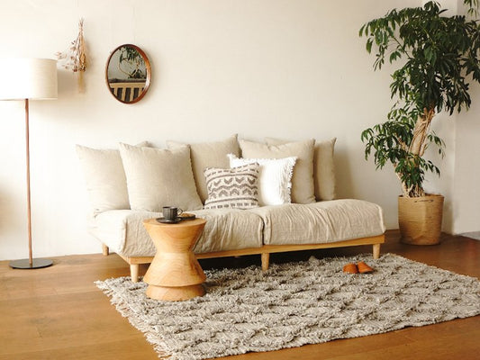 Urban Feel Couch For Small Space