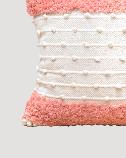 Living Room Designer Cushion Covers 26