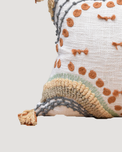 Living Room Designer  Cushion Covers 12