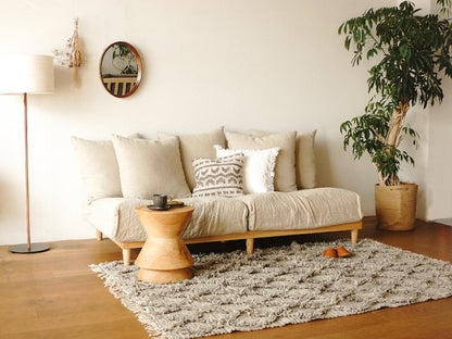 Urban Feel Couch For Small Space