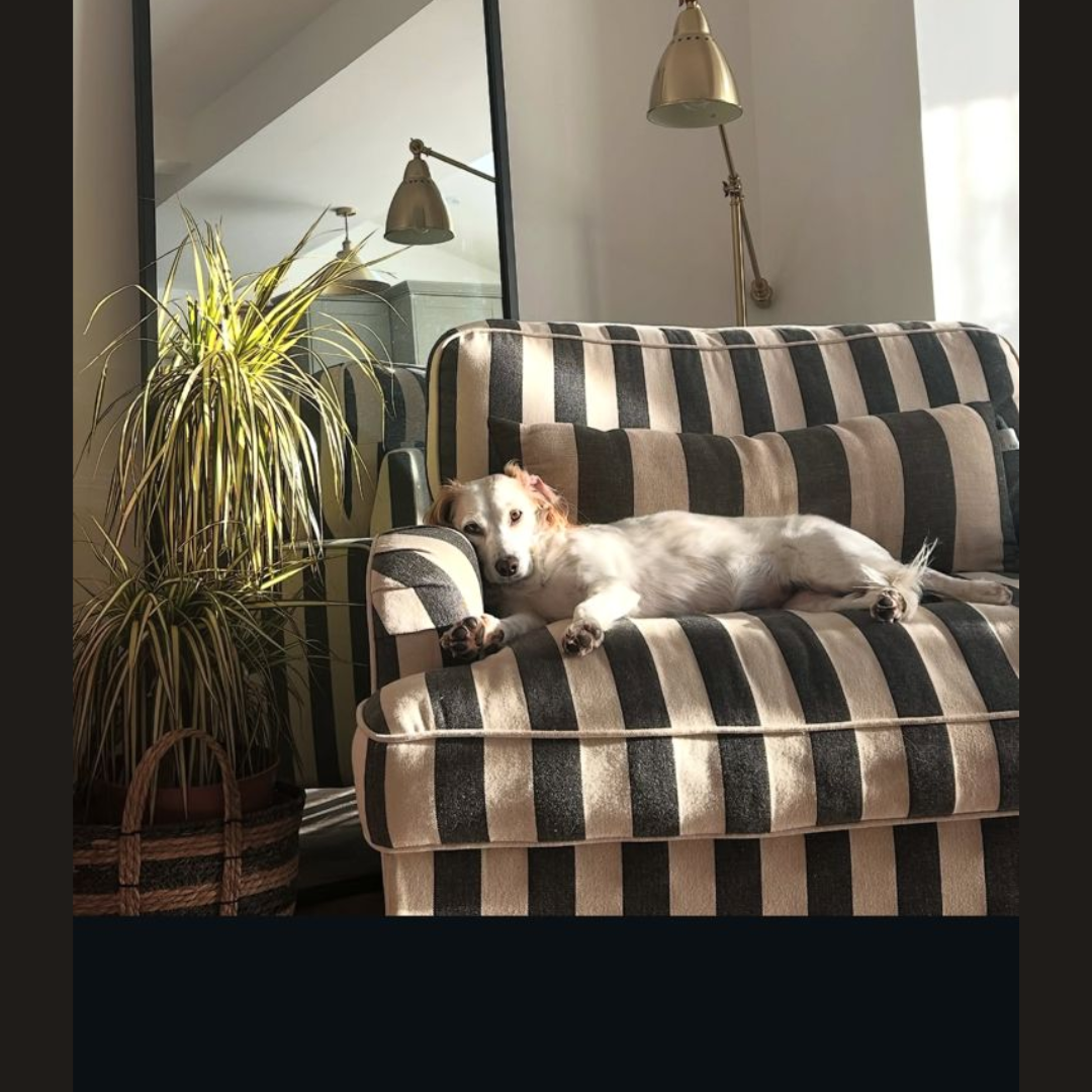 Urban Snuggle sofa chair