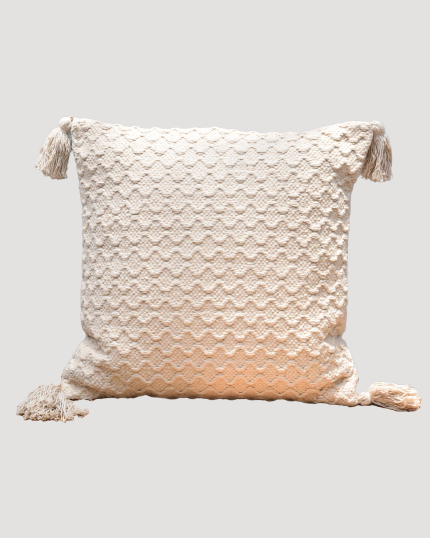 Living Room Designer  Cushion Covers 09