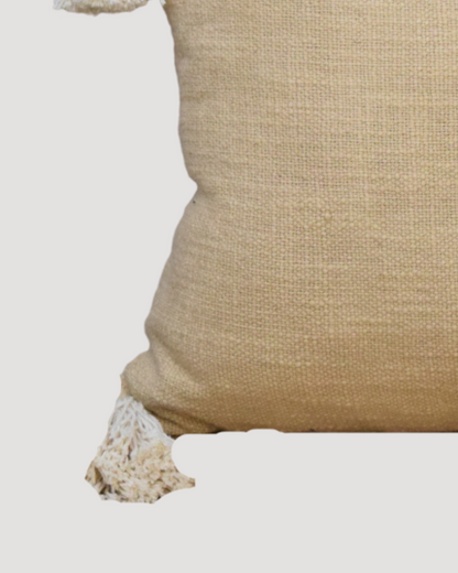 Living Room Designer  Cushion Covers 05
