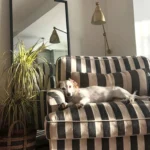 Urban Snuggle sofa chair photo review